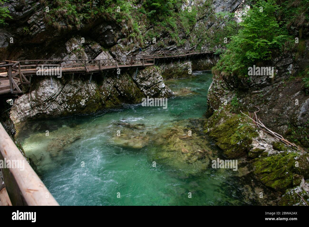 Clean river water goes through mountains, wooden bridges around. Slovenia, Vintgar gore near lake Bled. Stock Photo