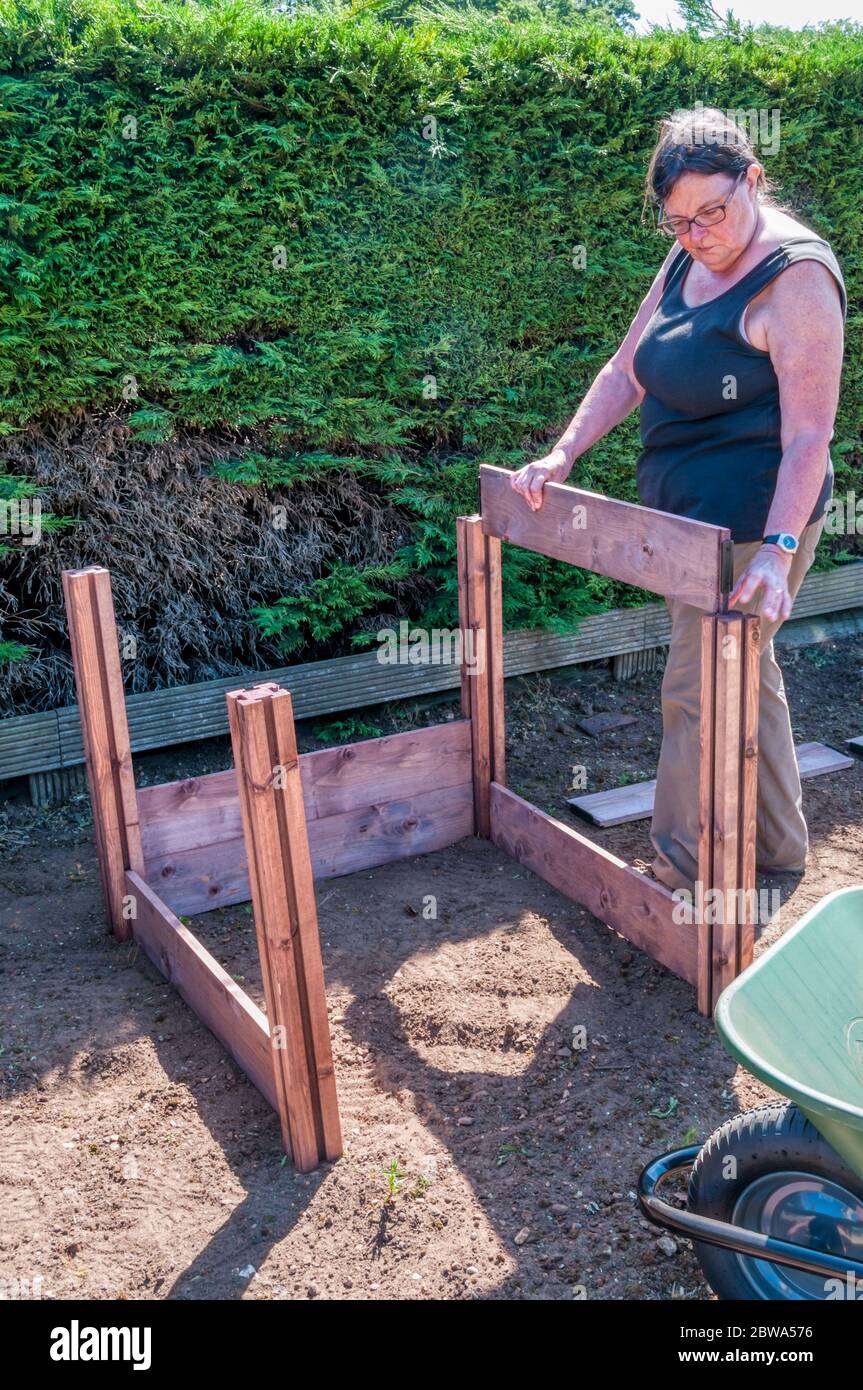 Woman building a traditional slot down wooden triple compost bin. Stock Photo