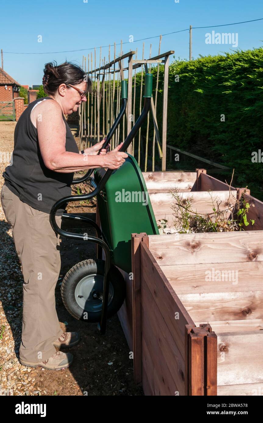 Woman tipping wheelbarrow full of organic material into compost bin. Stock Photo
