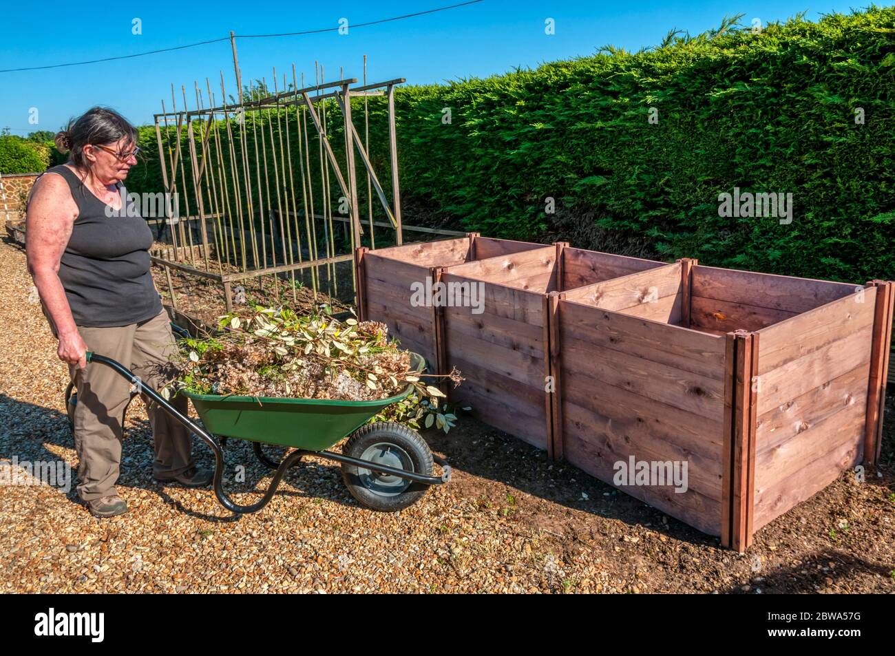Woman with wheelbarrow full of organic material to go in compost bin. Stock Photo