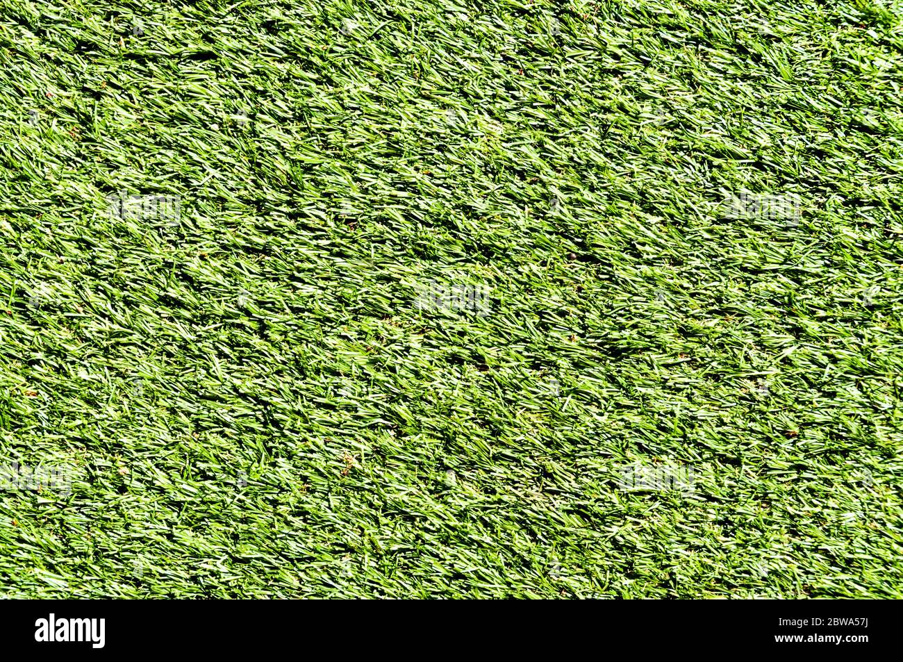 Close up view of an area of artificial grass or astroturf. Stock Photo