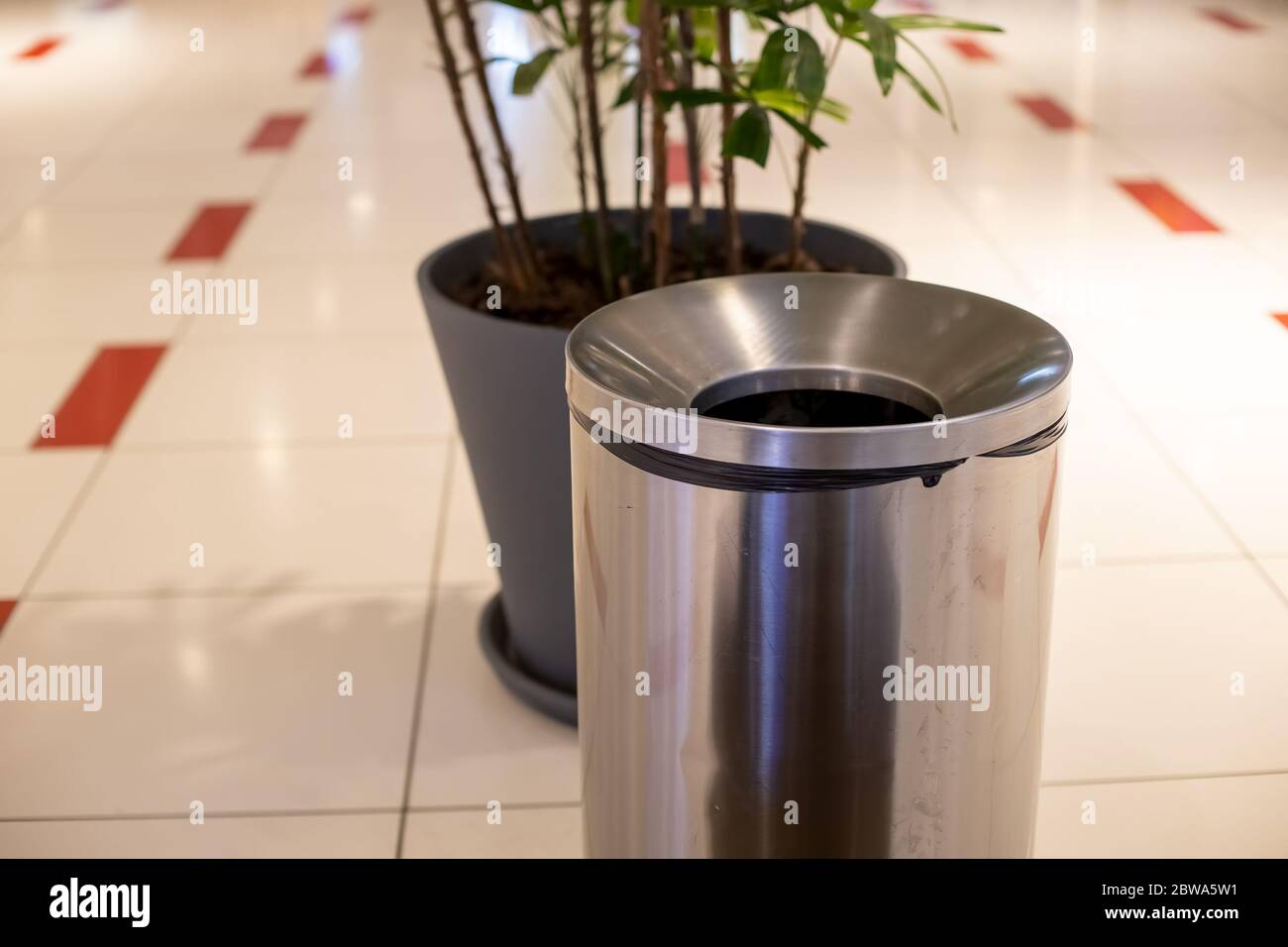 close-up steel cylinder bin litter bin. near in blur a plant in a gray tub. Against the background of a light floor tile with red lines in blur Stock Photo