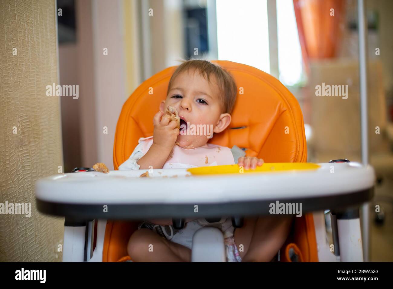 Cute Caucasian baby sitting in an orange baby chair eating a pie with his hands from an orange plastic plate and looking at the camera. close-up Stock Photo