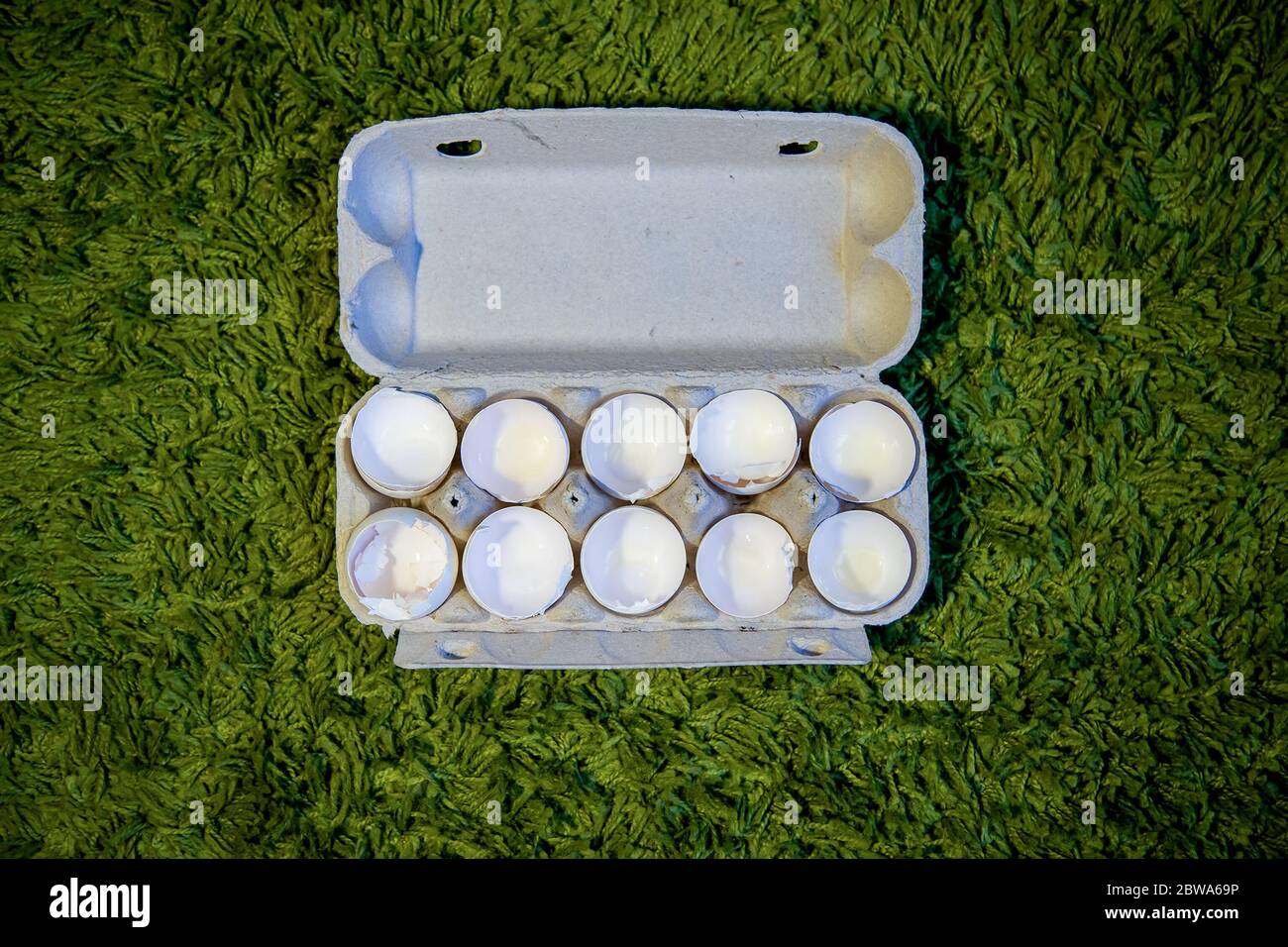 10 broken empty egg shells lie in a box on the green grass. top view, close-up Stock Photo