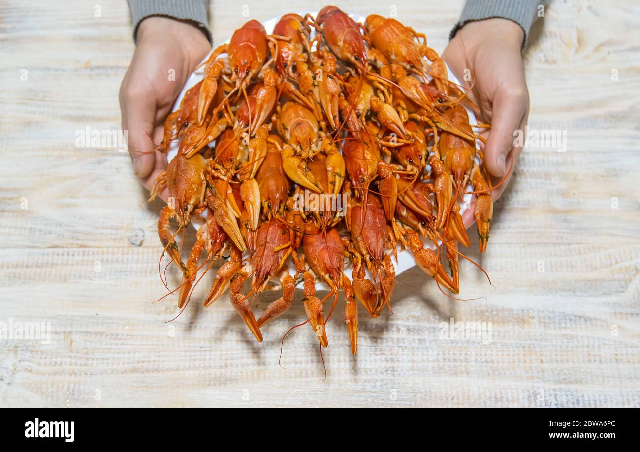 Boiled crayfish on the table. Selective focus. food. Stock Photo