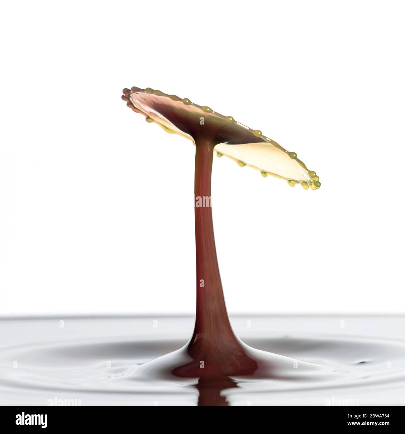 Stunning unique abstract water splash photography images with vibrant ...