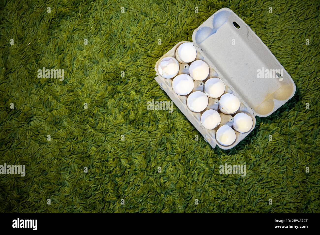 10 broken empty egg shells lie in a box on the green grass. top view, close-up, place for copyspace Stock Photo