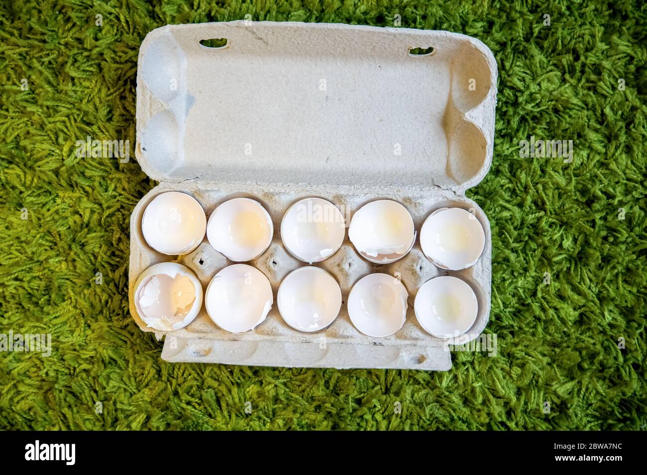 10 broken empty egg shells lie in a box on artificial grass. top view, close-up Stock Photo