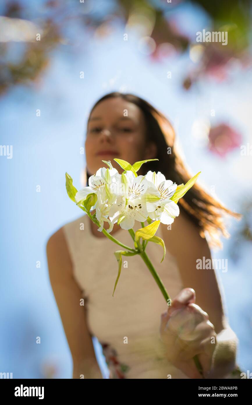 Young girl in summer dress extending her arm towards viewer holding a white flower. Royalty free stock photo. Stock Photo