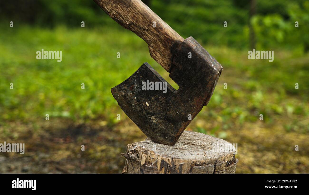 The tree ax is stuck in the log, woodcutting concept Stock Photo