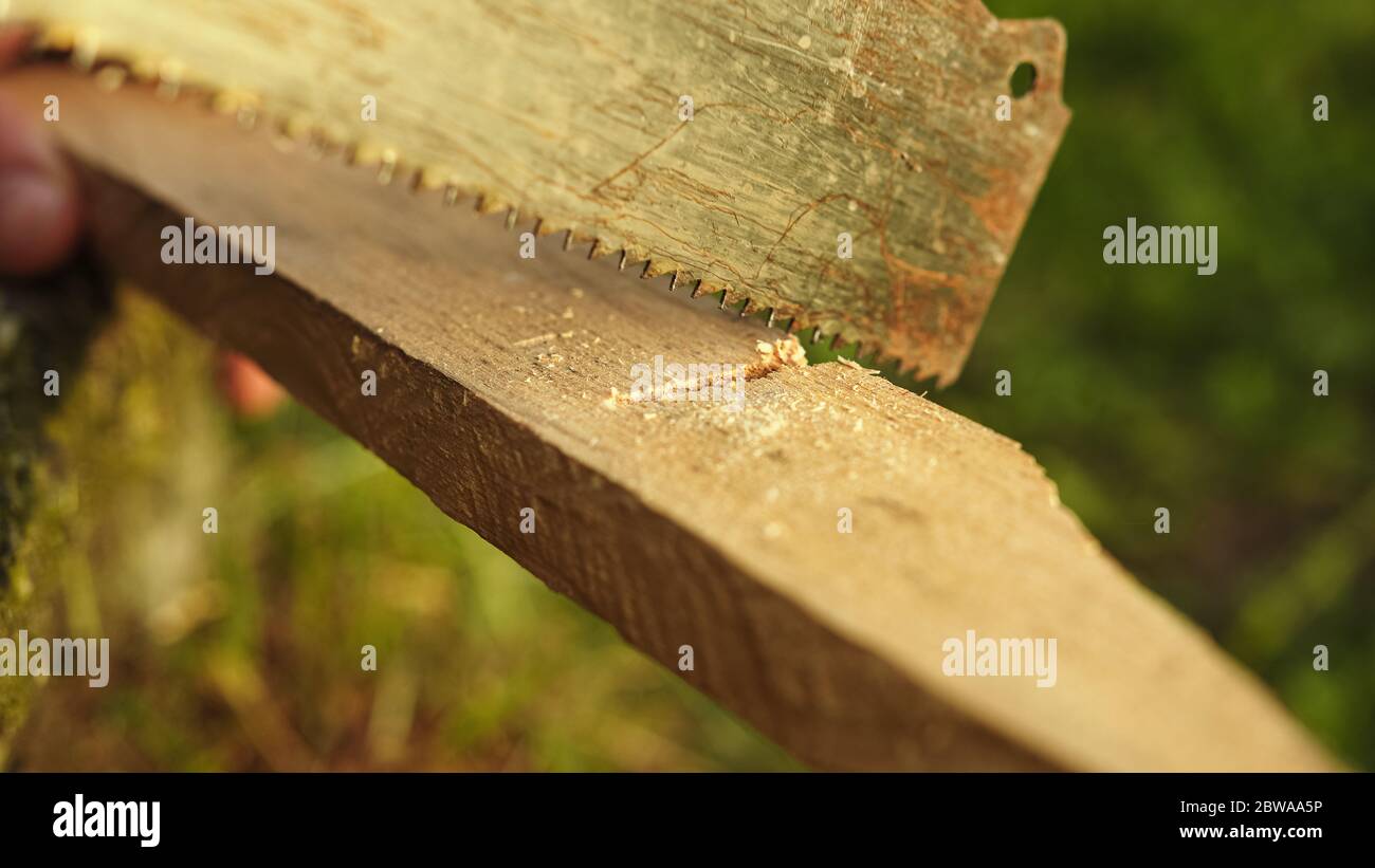 Young man cutting the timber or wood with saw close-up Stock Photo
