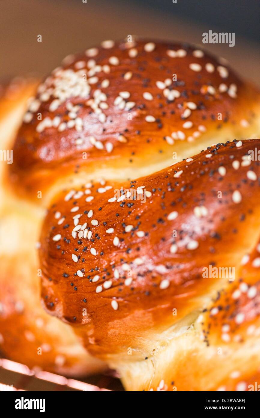 Close up of braided challah bread with sesame and poppy seeds Stock Photo Alamy