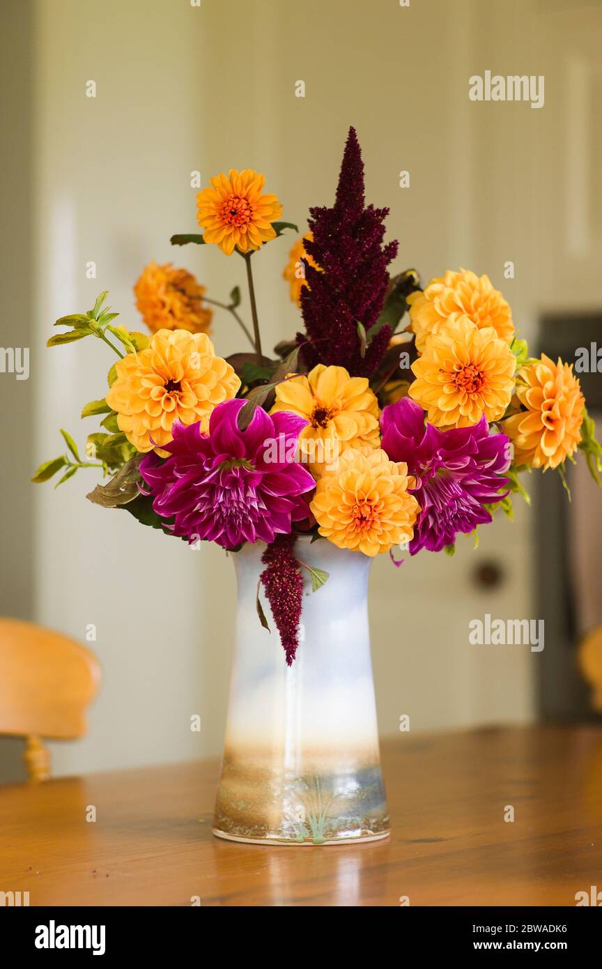 A glazed pictorial vase filled with freshly picked dahlias from an English garden in late Autumn Stock Photo