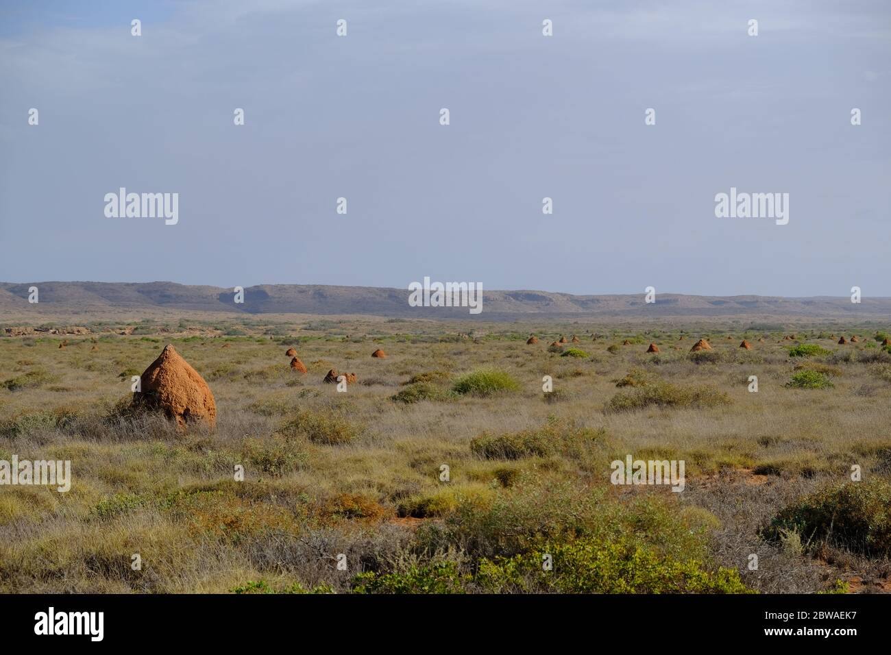 Western Australia Coral Bay - Coastel Acces Road landscape with Termite Mounds Stock Photo