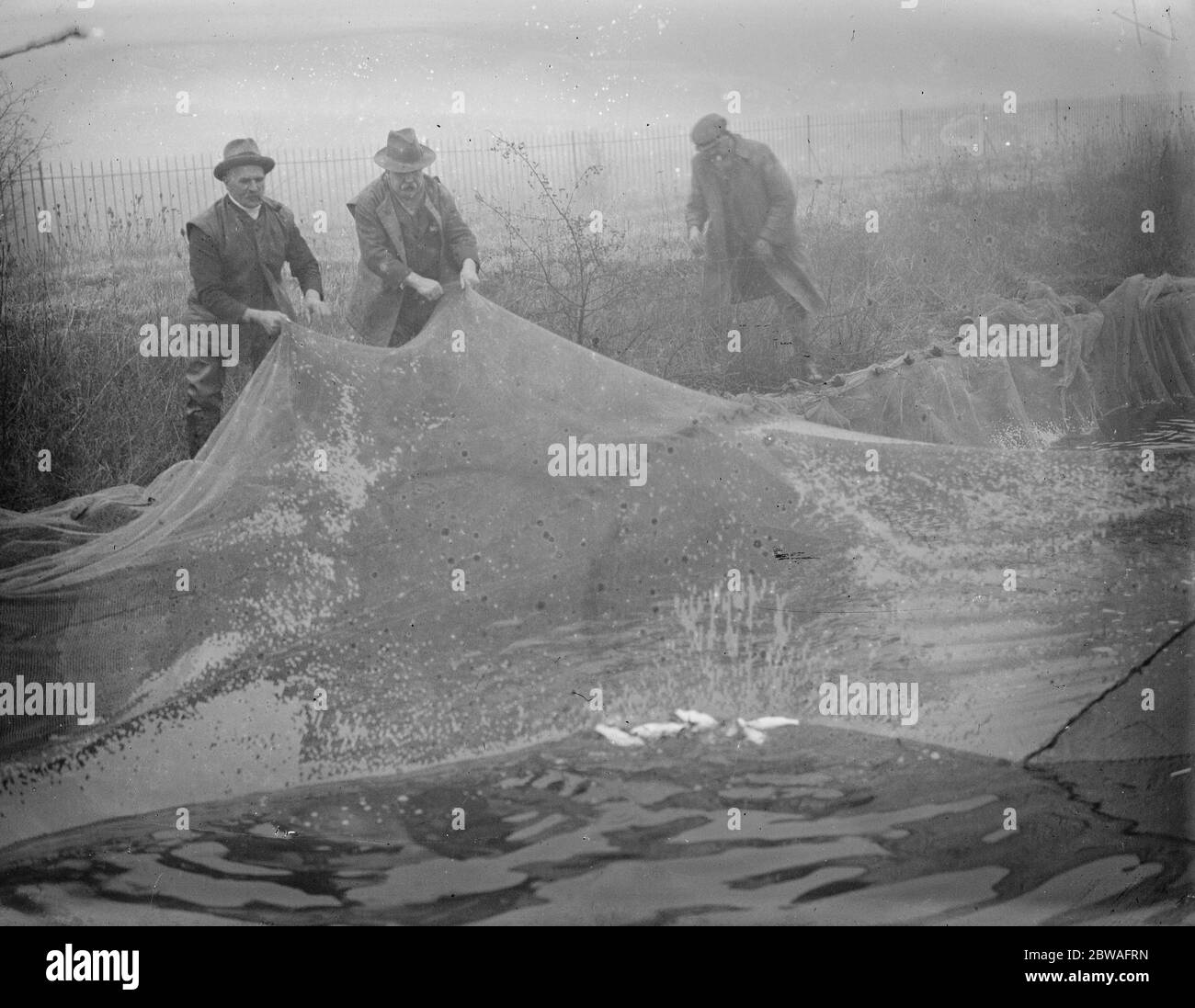 Re stocking the Thames . The Thames angling preservation society are netting fish by the hundreds from the Metropolitan Water Board aqueduct near Staines to re stock the waters of the Thames for the benefit of anglers . Netting the fish , mostly roach , and placing them in the Thames near Staines bridge , 20 December 1933 Stock Photo