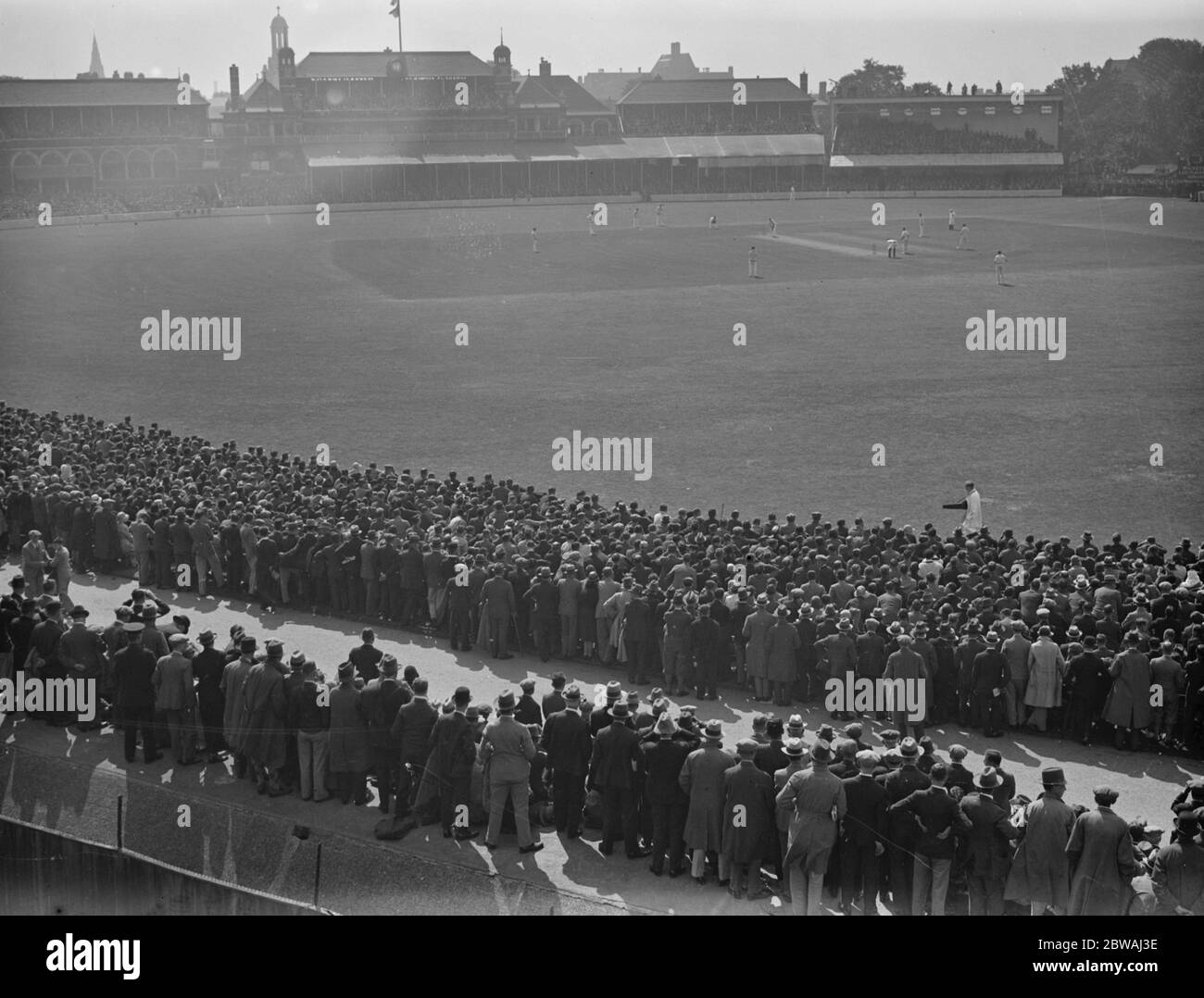 A panoramic view of the Oval during the 1930 test match 16 August 1930 Stock Photo