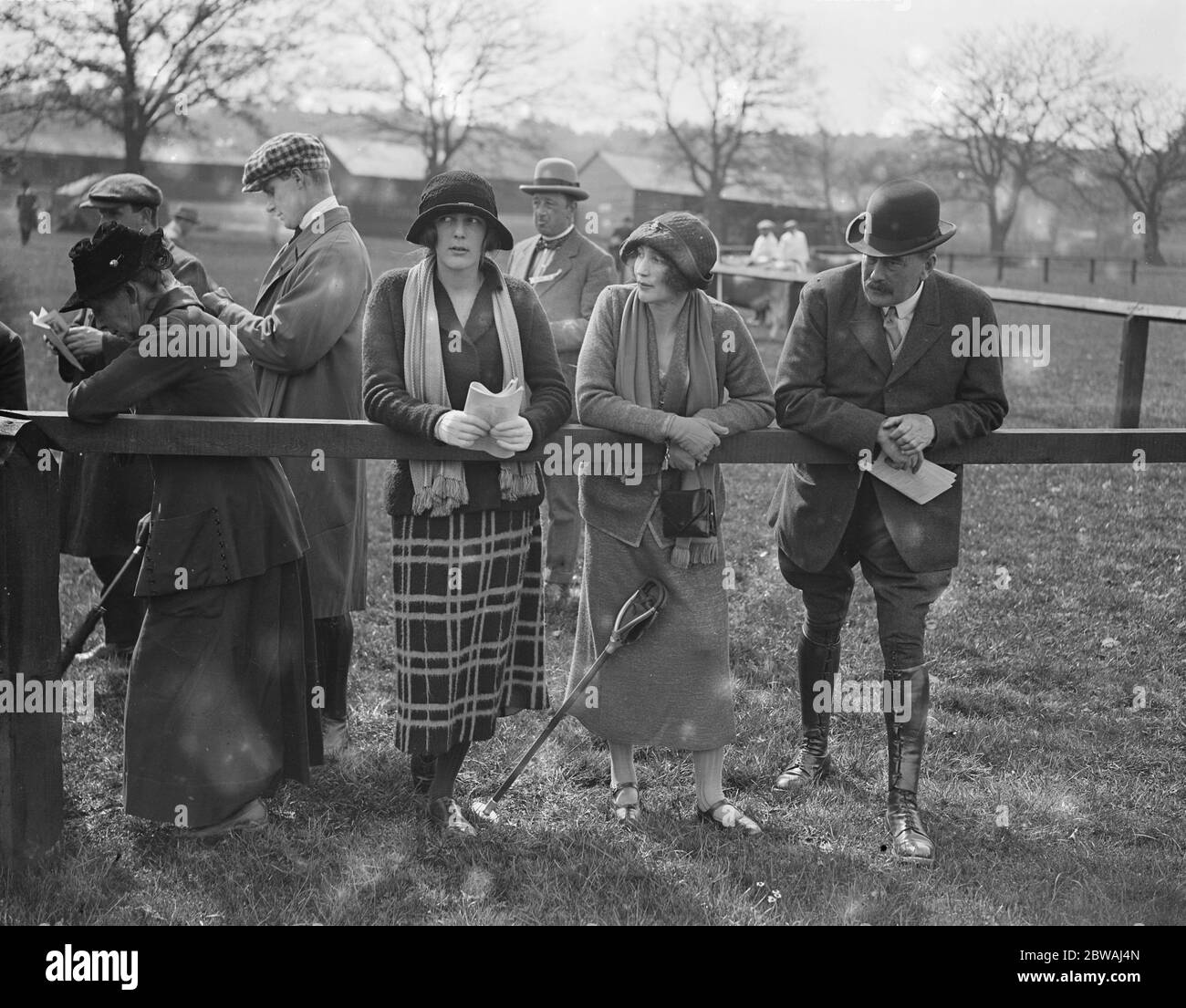 Show of Jersey Cattle atTunbridge Wells Lady irene Pratt , Marchioness  Camden , Viscount Portman 2 May 1923 Stock Photo - Alamy