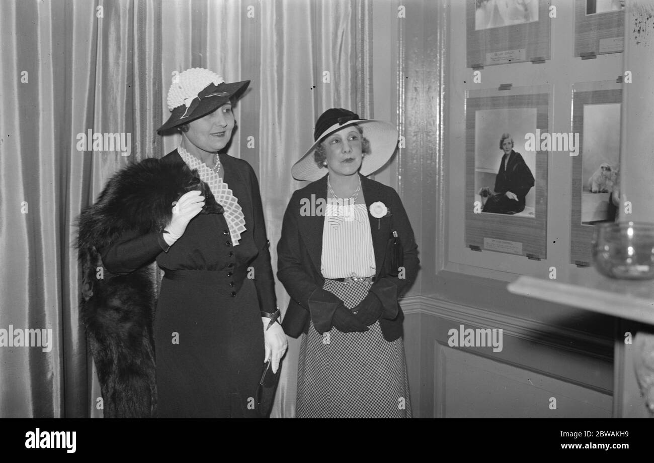 Private view of Captain Peter North 's Show of portraits of well known people . Madame Thurkow and Georgina Lady Sholto Douglas . 26 January 1933 Stock Photo