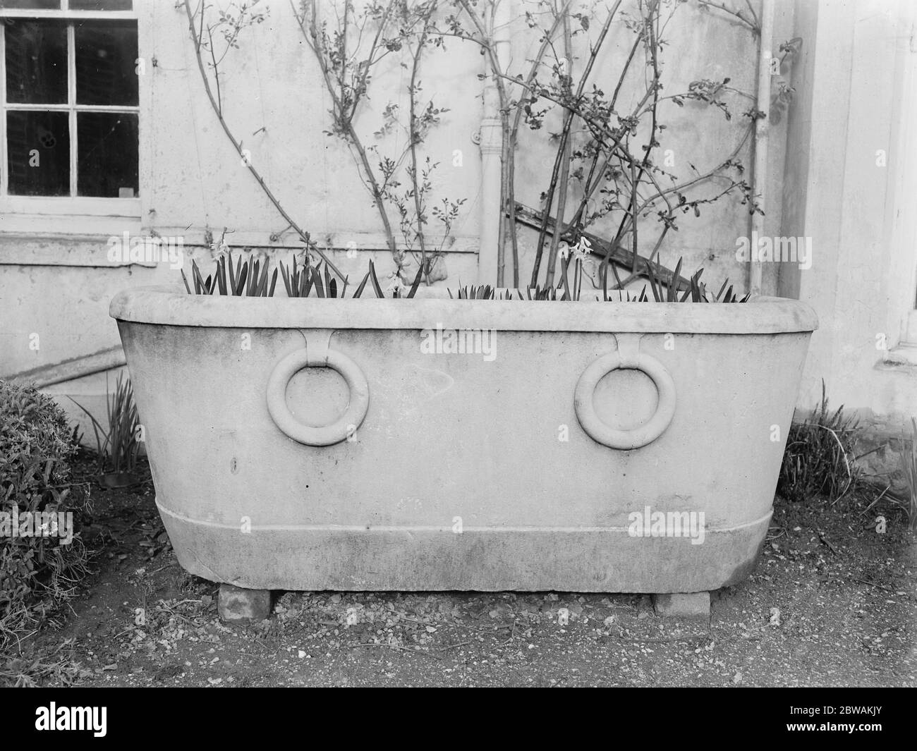 At Newport Pagnell , a Roman bath that was also at Stowe House and is now used by Mr Bullard as a bulb bed in the garden . It was brought over to England before the days of railways and had to be carried from the coast to Stowe House by Ox cart 4 March 1923 Stock Photo