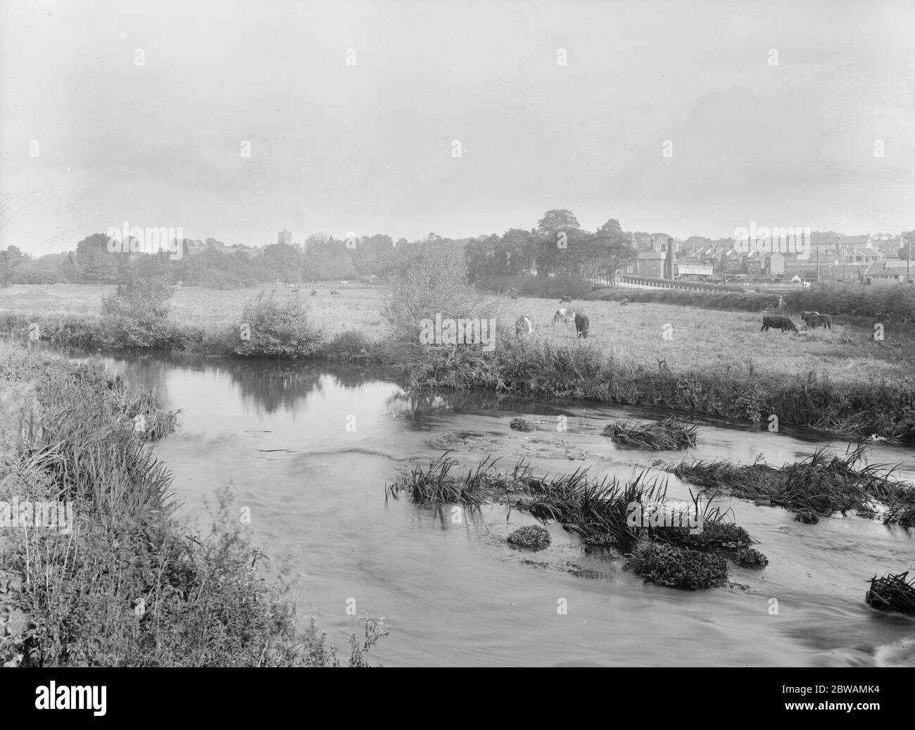 Axminster , Devon 1925 Stock Photo Alamy