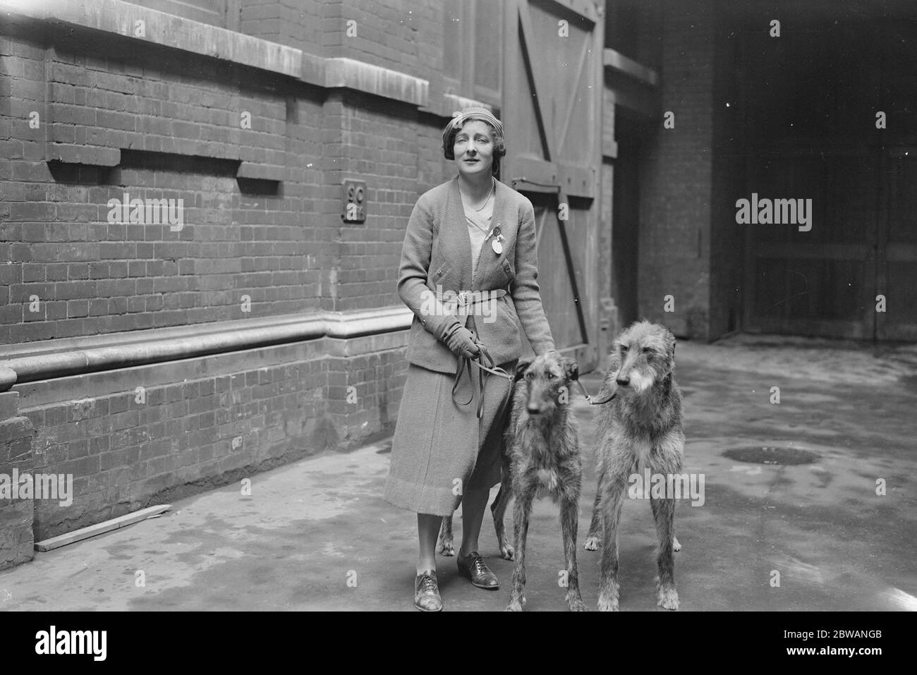 I K A Show at Olympia Miss M Richmond with ' Ch Ranger ' and his pup ' Wallade of Bidge Sellars ' 1932 Stock Photo