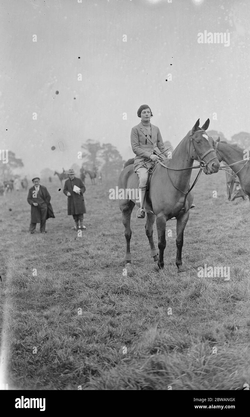 Southern of England coursing meeting at Mentmore Miss Joan Robinson 1932 Stock Photo