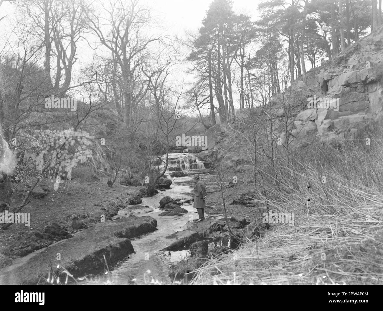 Chillingham . Lord Cumberland walking the river Till 1932 Stock Photo