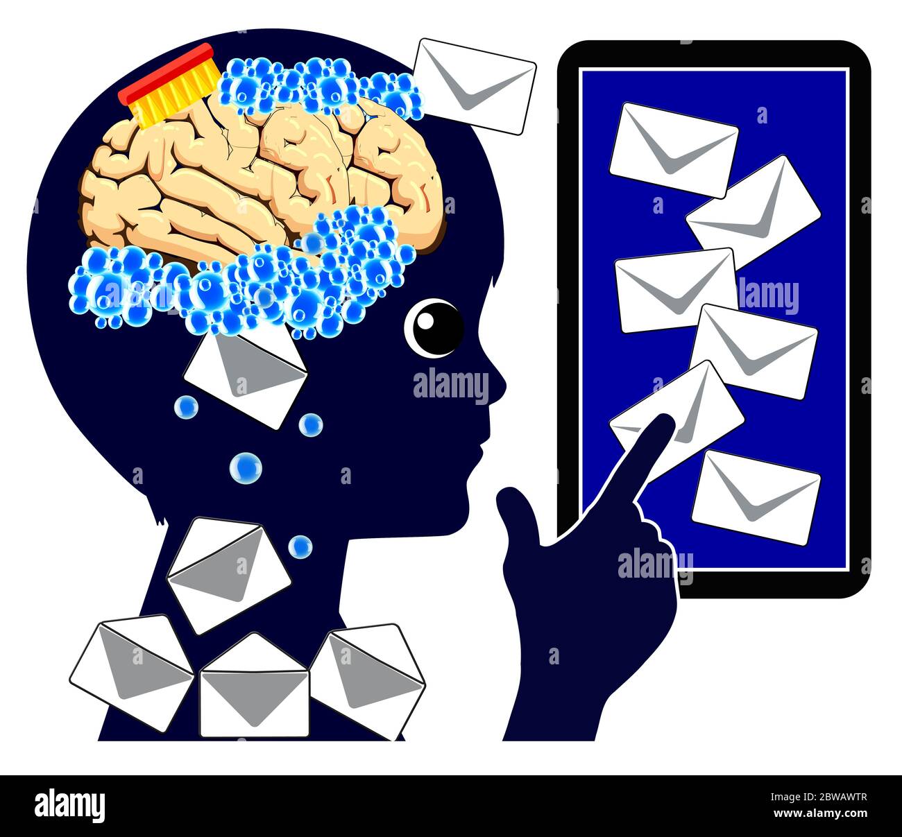 The daily flood of information manipulates the shape of the brain Stock Photo
