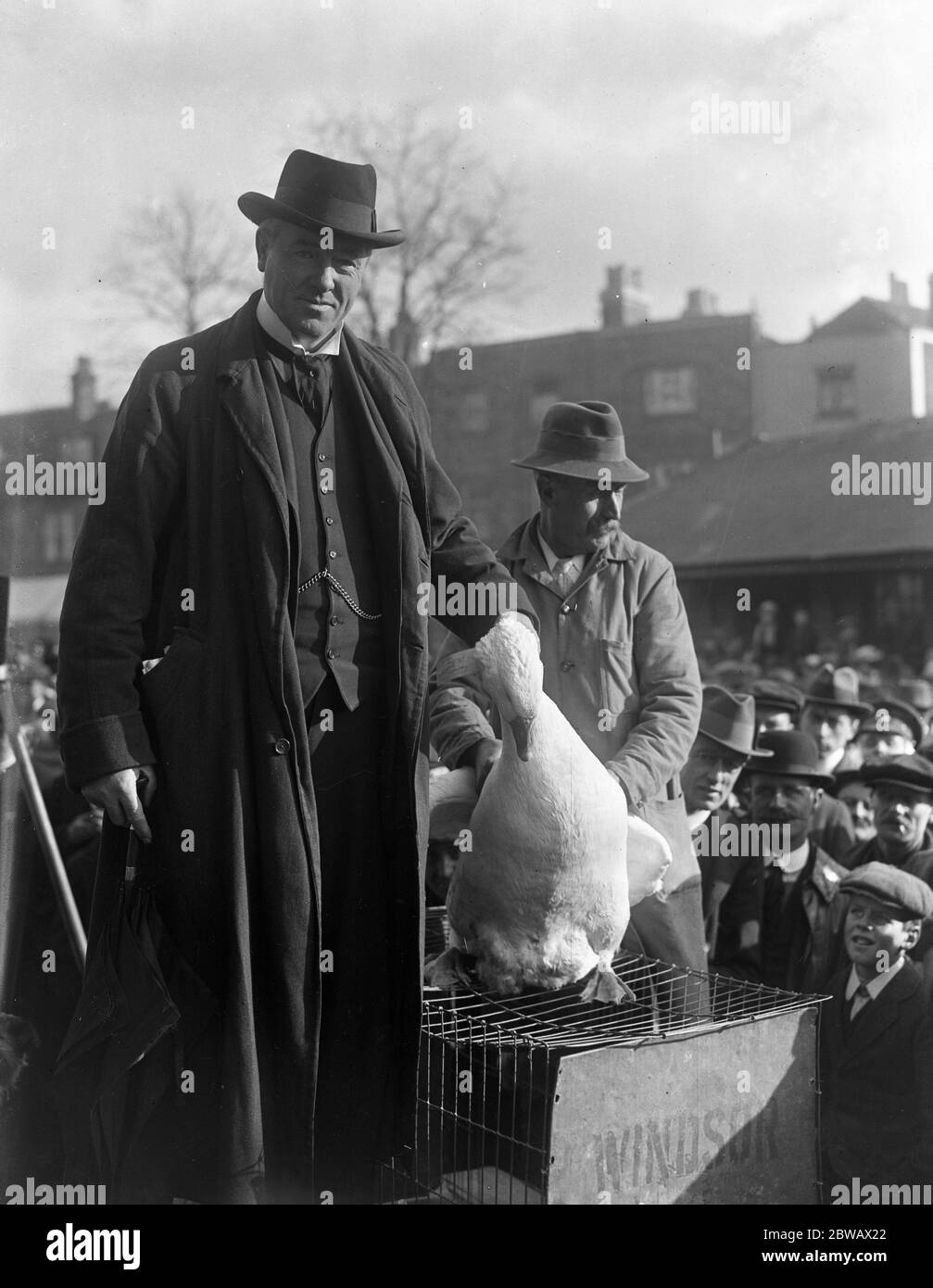 Mr Ronald McNeill , MP , who opened an auction at Canterbury , Kent , with the first lot , a goose . 15 November 1916 Stock Photo