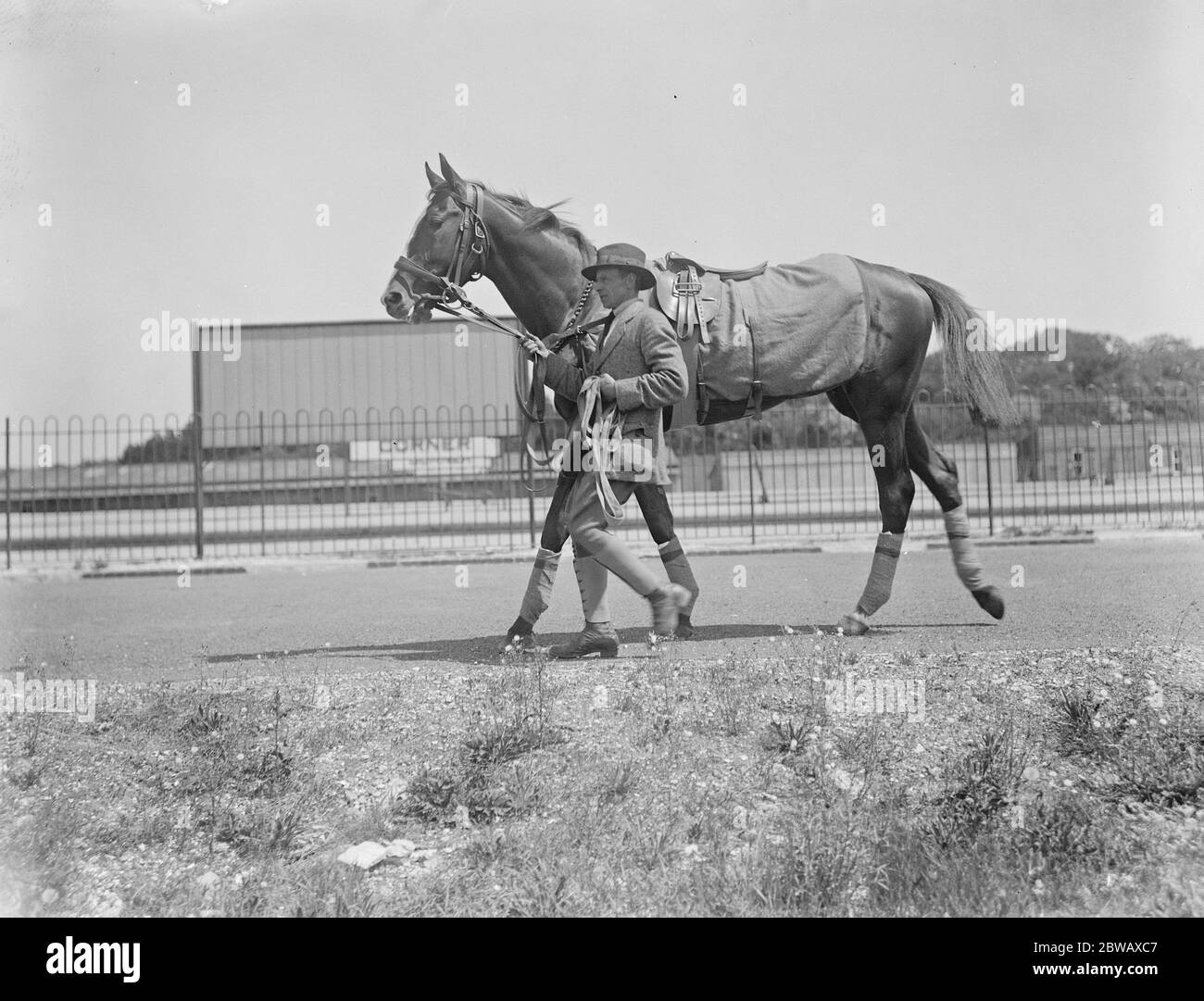 Derby favourite arrives at Epsom . St Louis , at present favourite for the Derby arriving at Epsom . 29 May 1922 Stock Photo