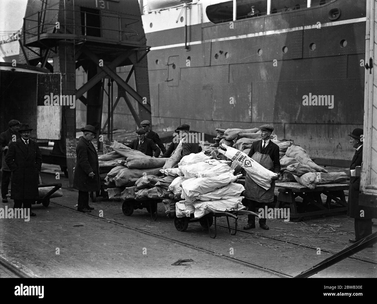 Empire produce at Royal Albert Docks . 4,000 lambs , sent by Australians to friends in this country , arrived at the Royal Albert Docks London , aboard the ' SS Large Bay ' . Dockers are seen unloading the carcasses . 8 December 1931 Stock Photo