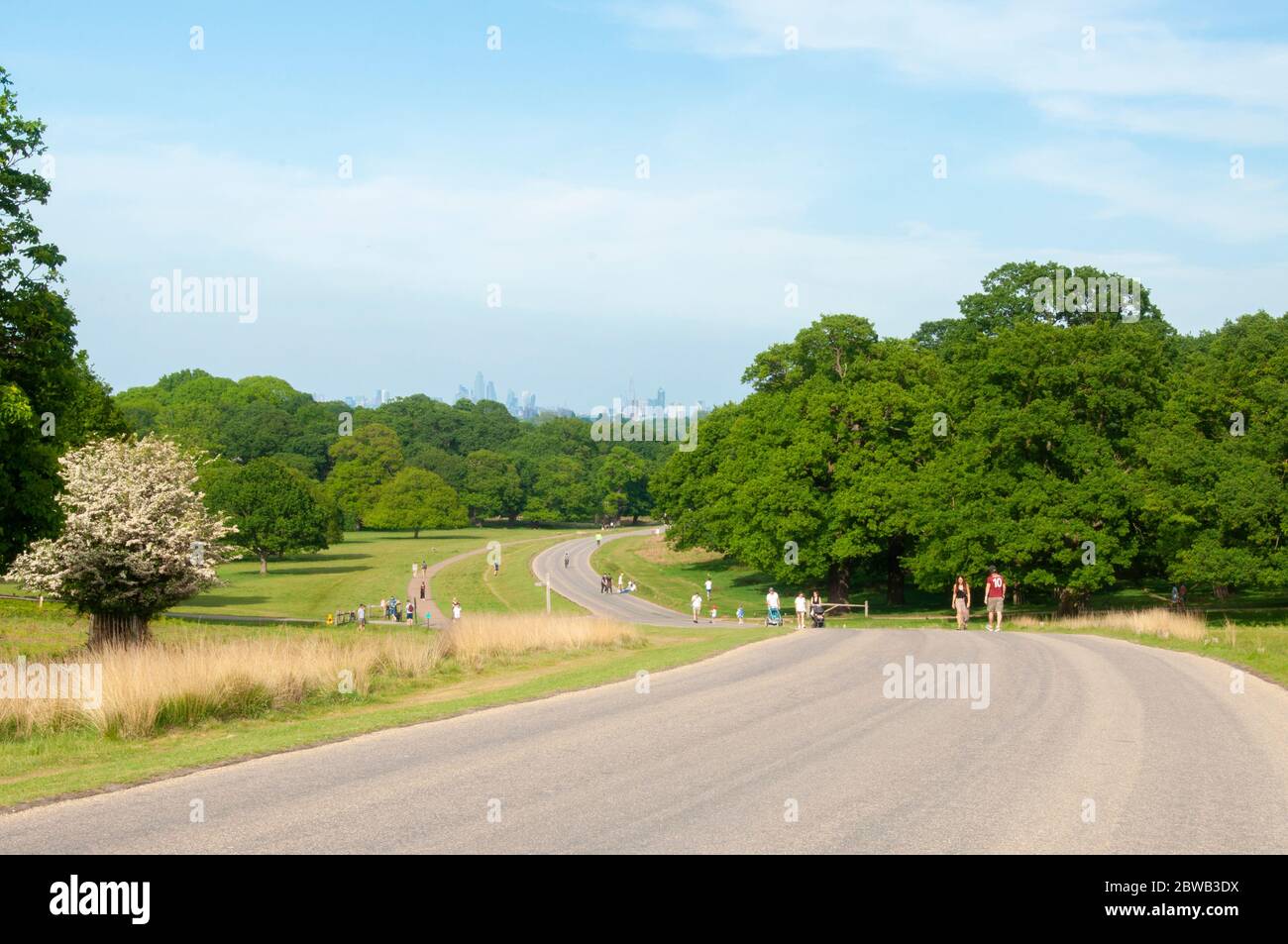 A traffic-free Richmond Park (London, UK) on a sunny day during lockdown caused my the Coronavirus pandemic. Stock Photo