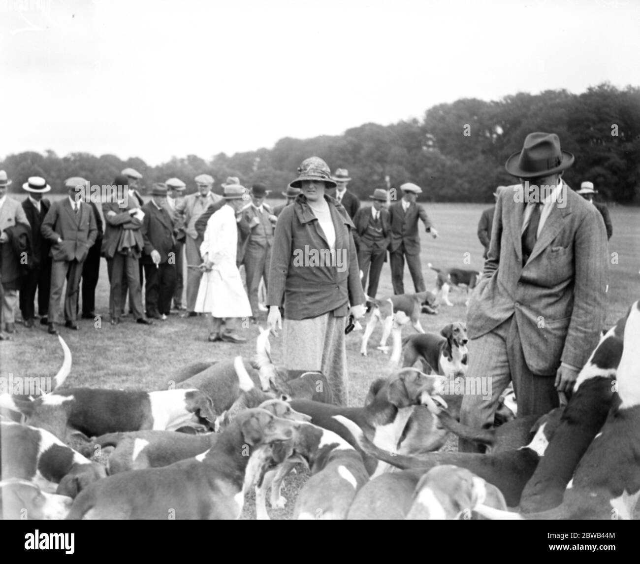 Goodwood Week Polo Starts At Cowdray Park, West Sussex, Lady Burrel and the hounds at Cowdray Park 31 July 1923 Stock Photo