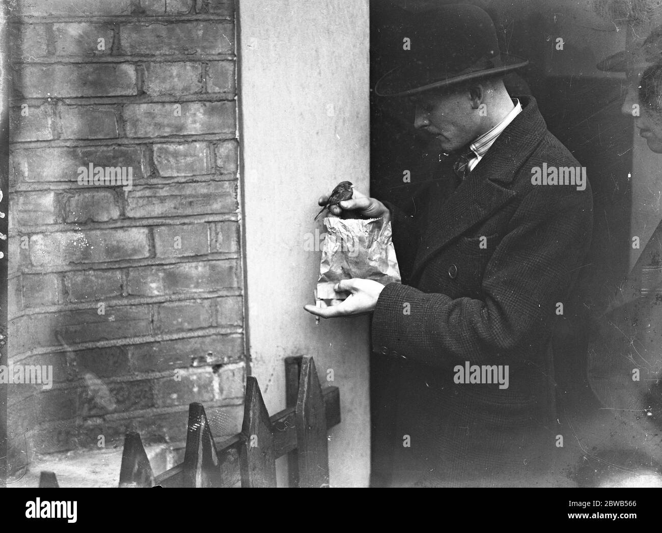 The sale of wild birds in Club Row , London ( taken for ' The Field ' magazine ) . 5 January 1933 Stock Photo