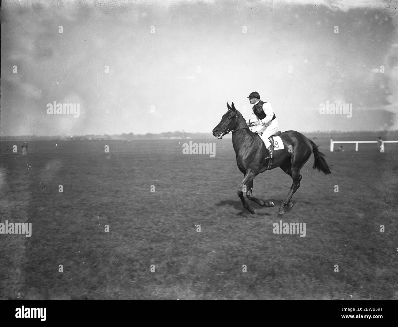 Horse racing newmarket racecourse Black and White Stock Photos & Images ...