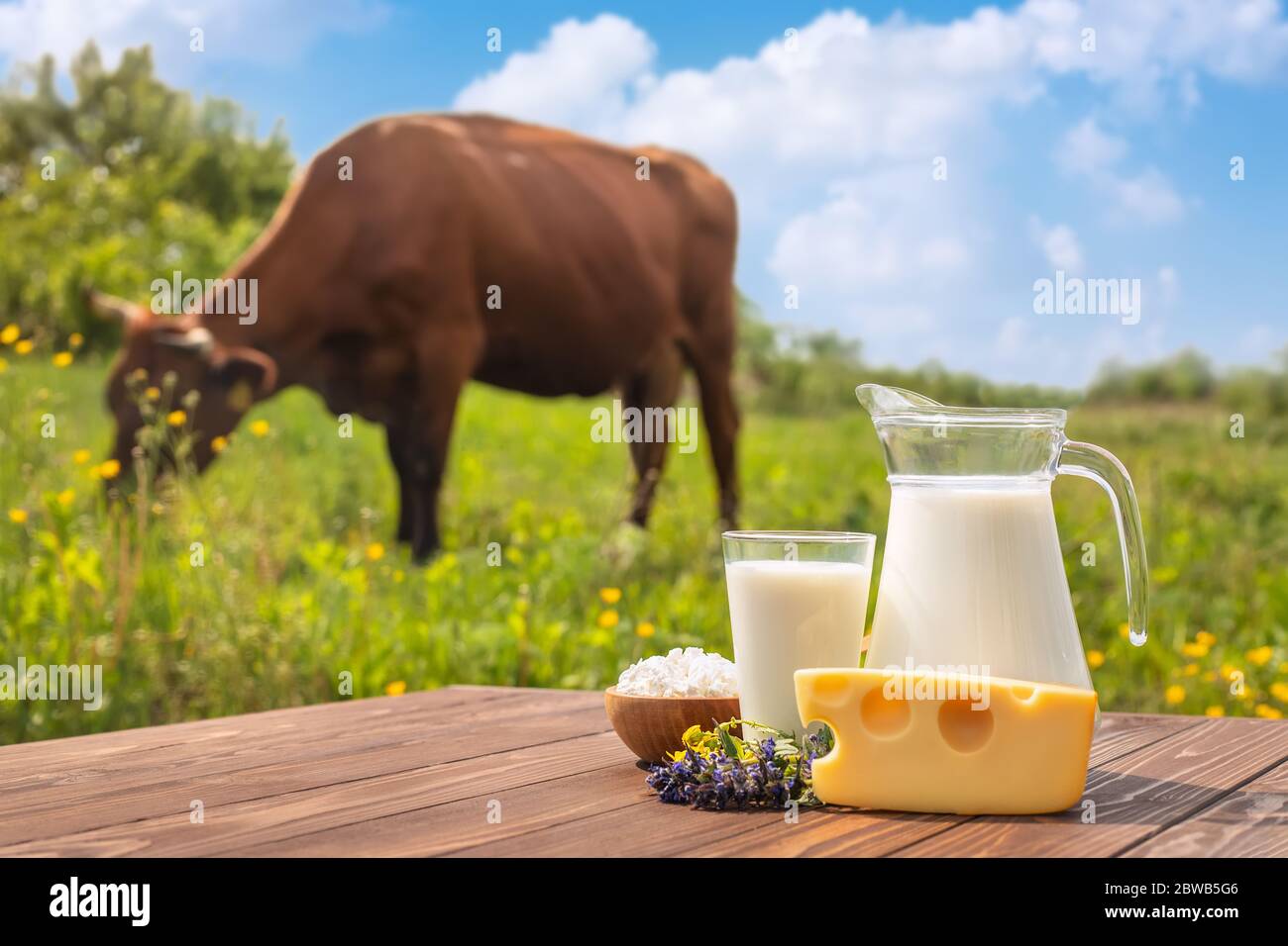 milk in glass jug Stock Photo