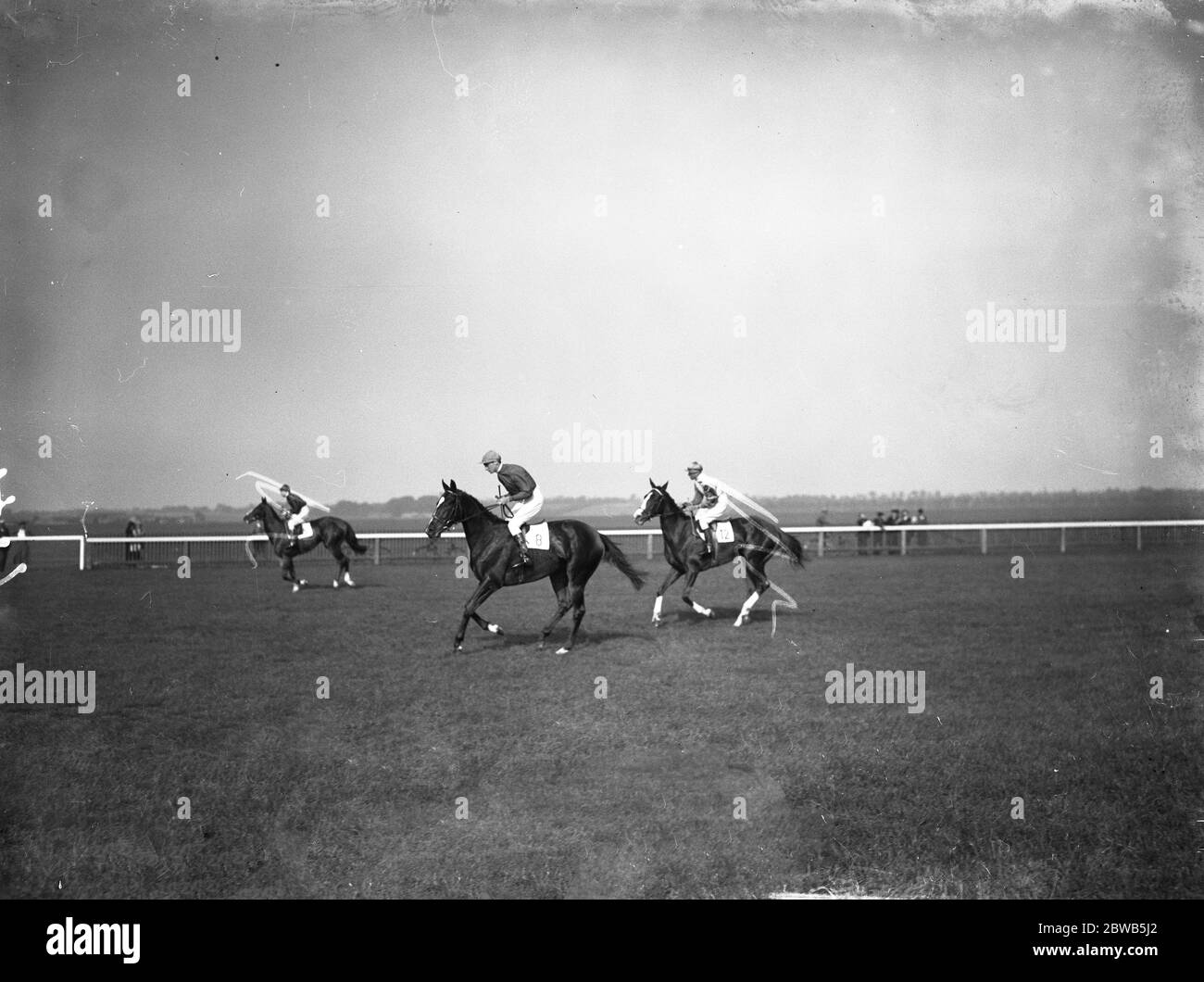 At the Newmarket races , No. 8 ' Serena Blandish ' on the course . 30 September 1937 Stock Photo