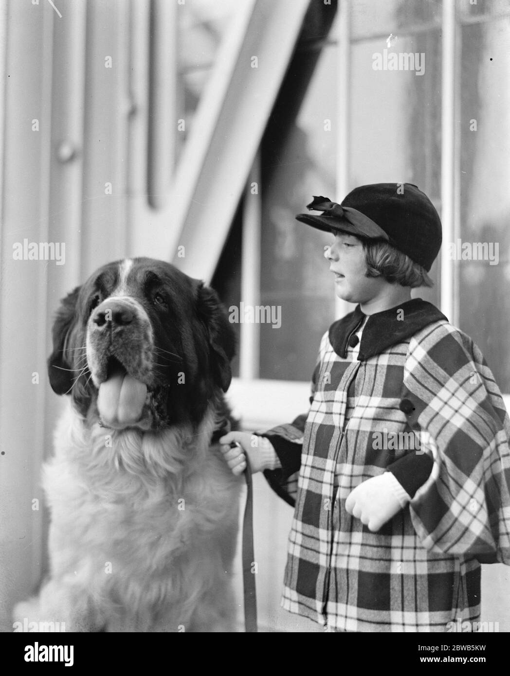 The  Pearl  and the girl .  St Sebastian Pearl  , a fine St Bernard , photographed with his little mistress at the Kennel Club 's Show at the Crystal Palace . 3 October 1923 Stock Photo