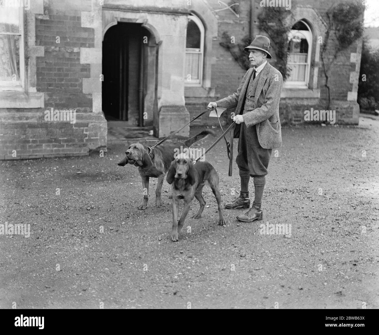 Dog detectives . Man hunting trials at Savernake . Colonel Johnson with his bloodhounds ,  Earnley Suzanne  and  Earley Sentinel  . 26 September 1922 Stock Photo