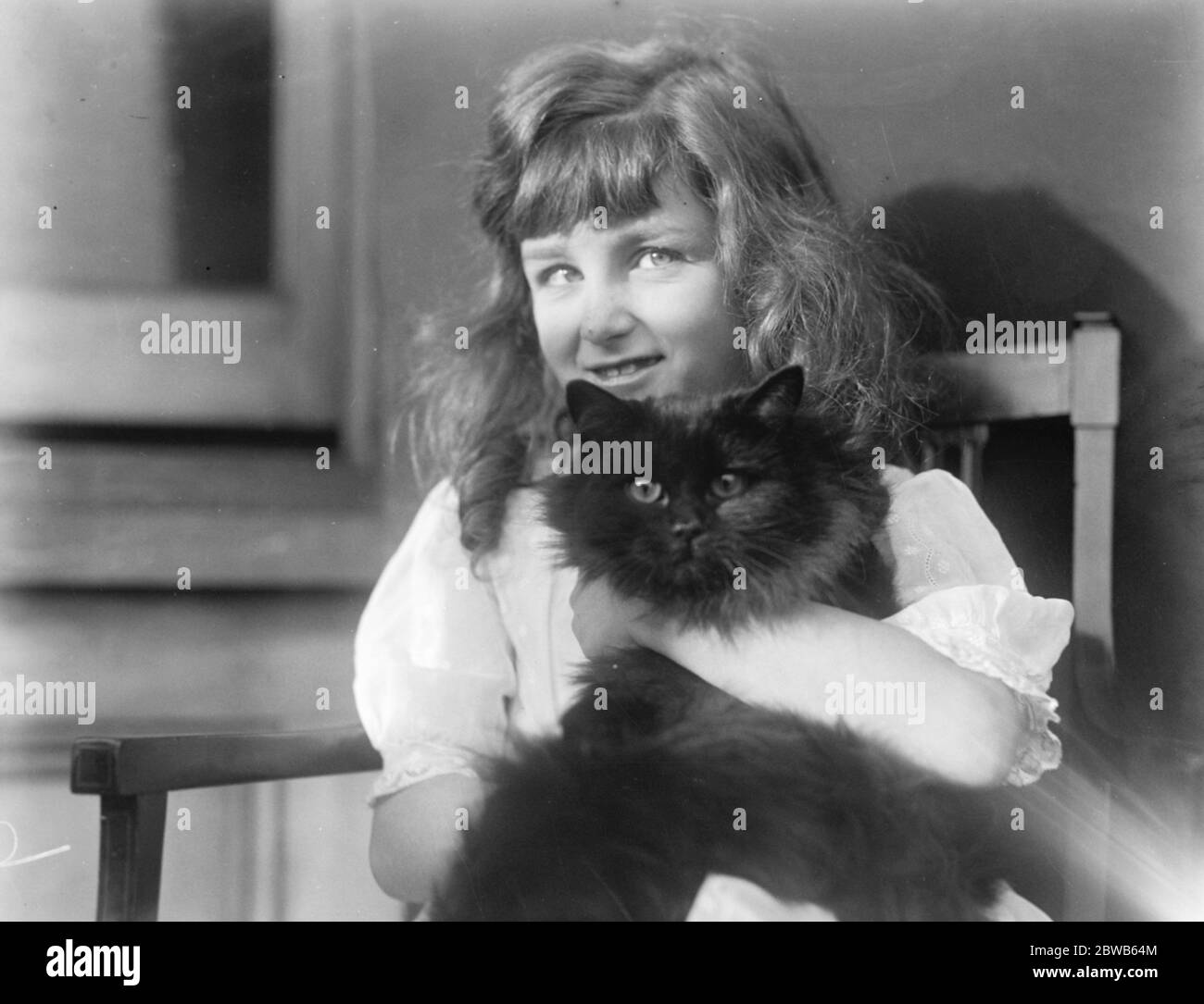 National Cat Clubs Championships Show at Crystal Palace . Mrs Year ' s  Sally Cat  , winner of the first prize . 6 December 1922 Stock Photo