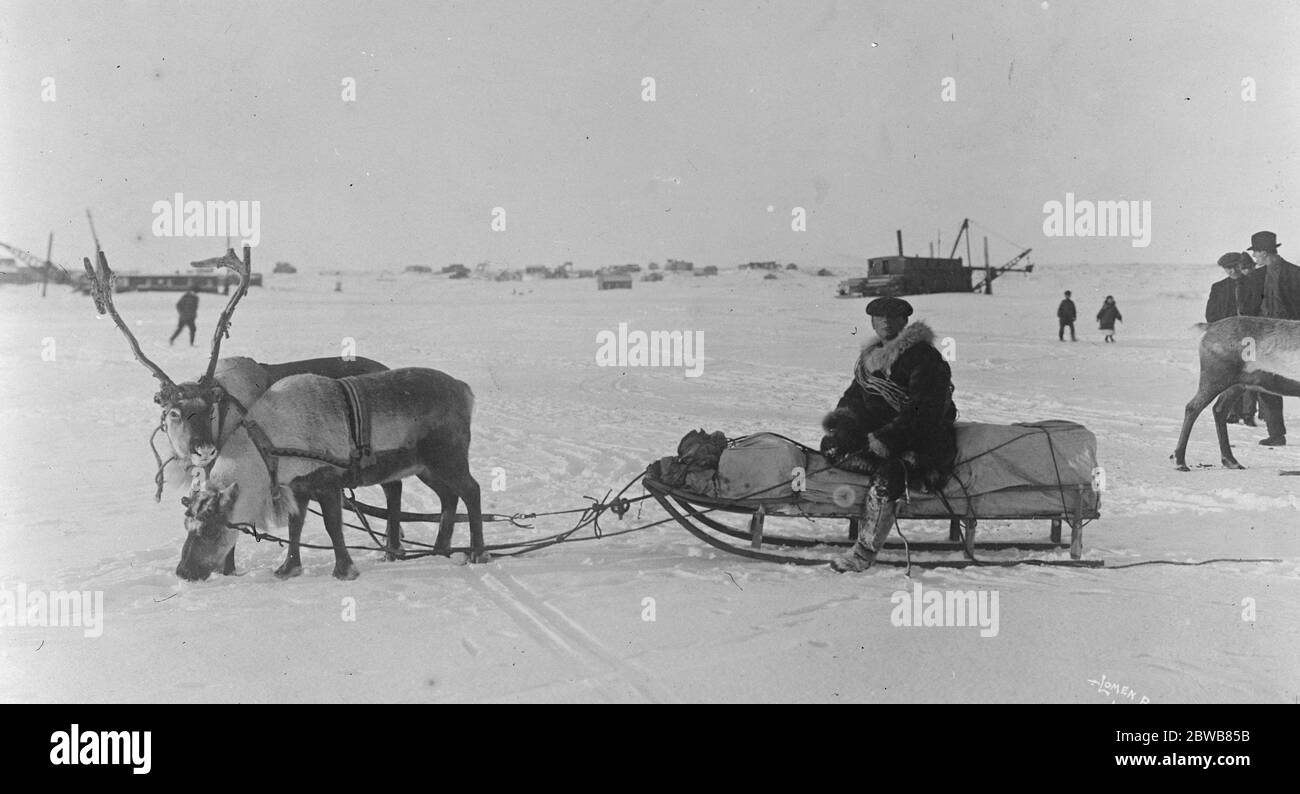 Carrying the United States mail furthest north An interesting picture taken on the Teller Route , showing the mail sleigh , drawn by reindeer , at a remote settlement some 120 miles north of Nome , Alaska . 25 November 1925 Stock Photo