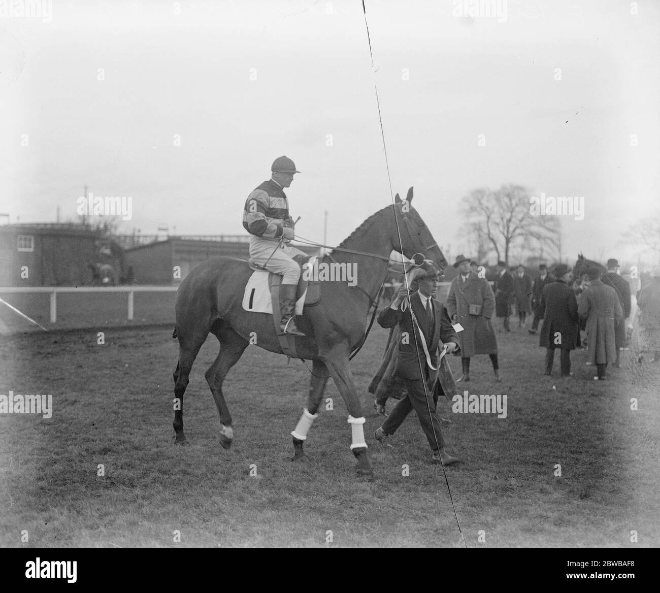 ' Turkey Buzzard ' , one of the Grand National candidates . 13 March 1923 Stock Photo