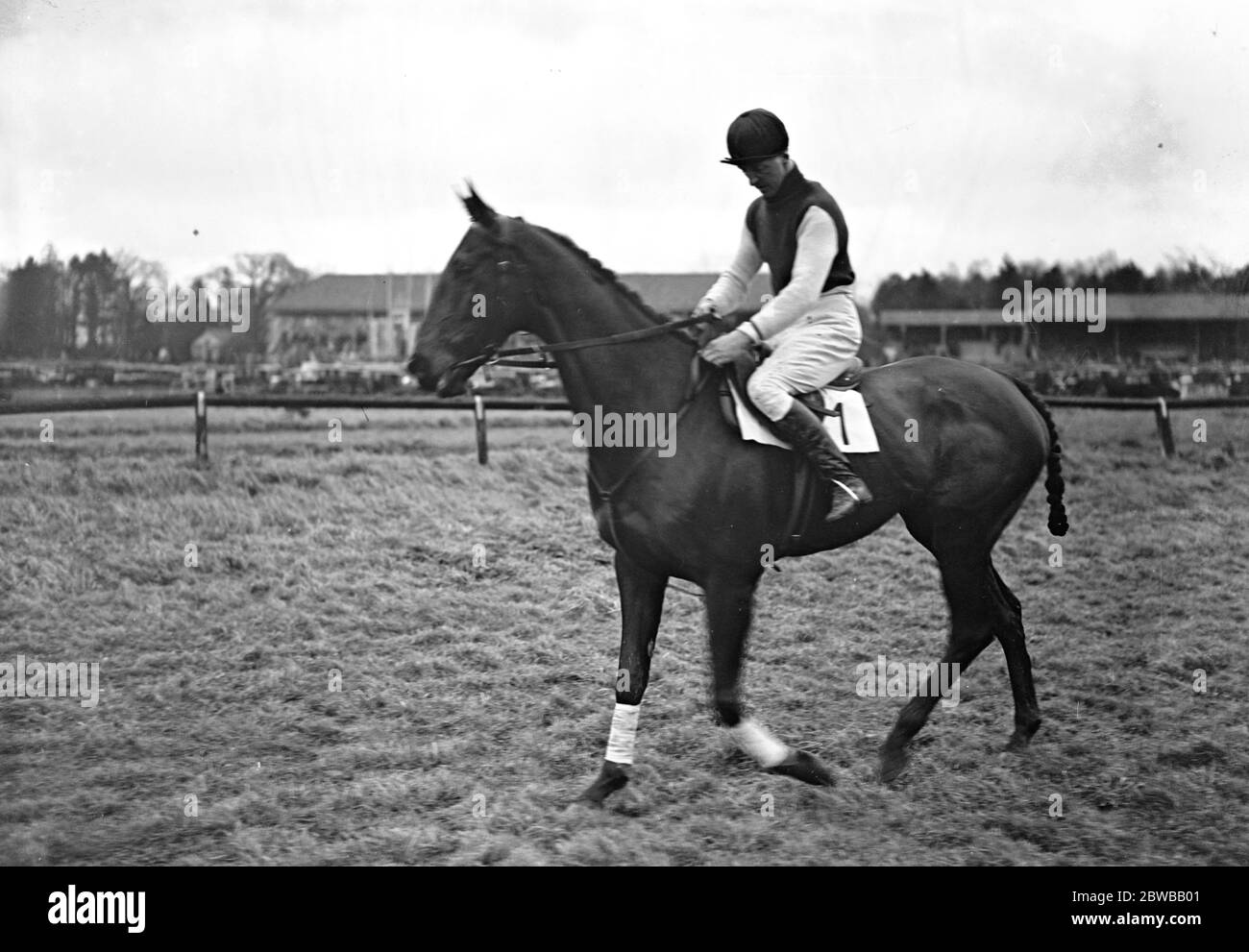 At Lingfield Park racecourse , Surrey , ' Drintyre ' ridden by Captain Brownhill . 16 January 1932 Stock Photo