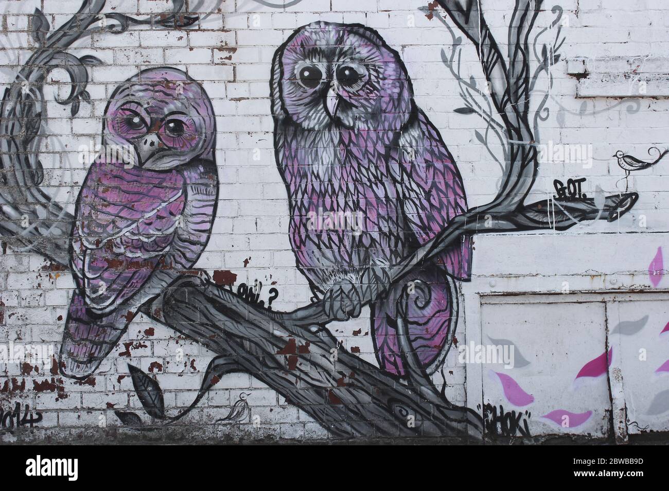 Owl Graffiti Stock Photo