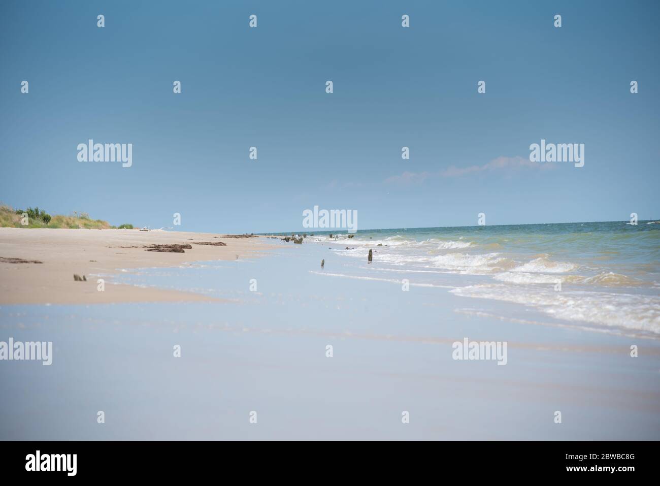 Swash zone on the beach Stock Photo Alamy