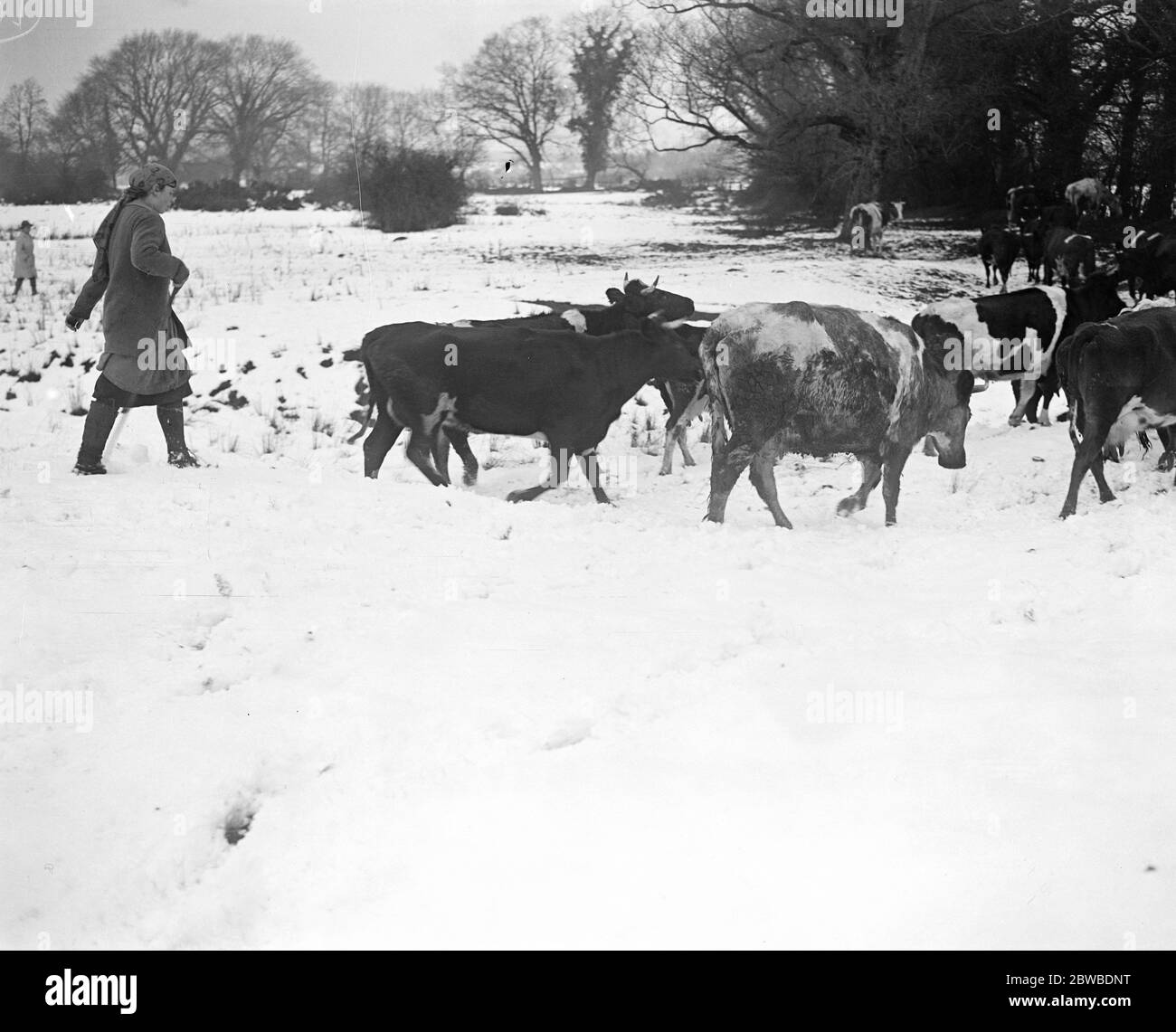 Thetford norfolk Black and White Stock Photos & Images Alamy