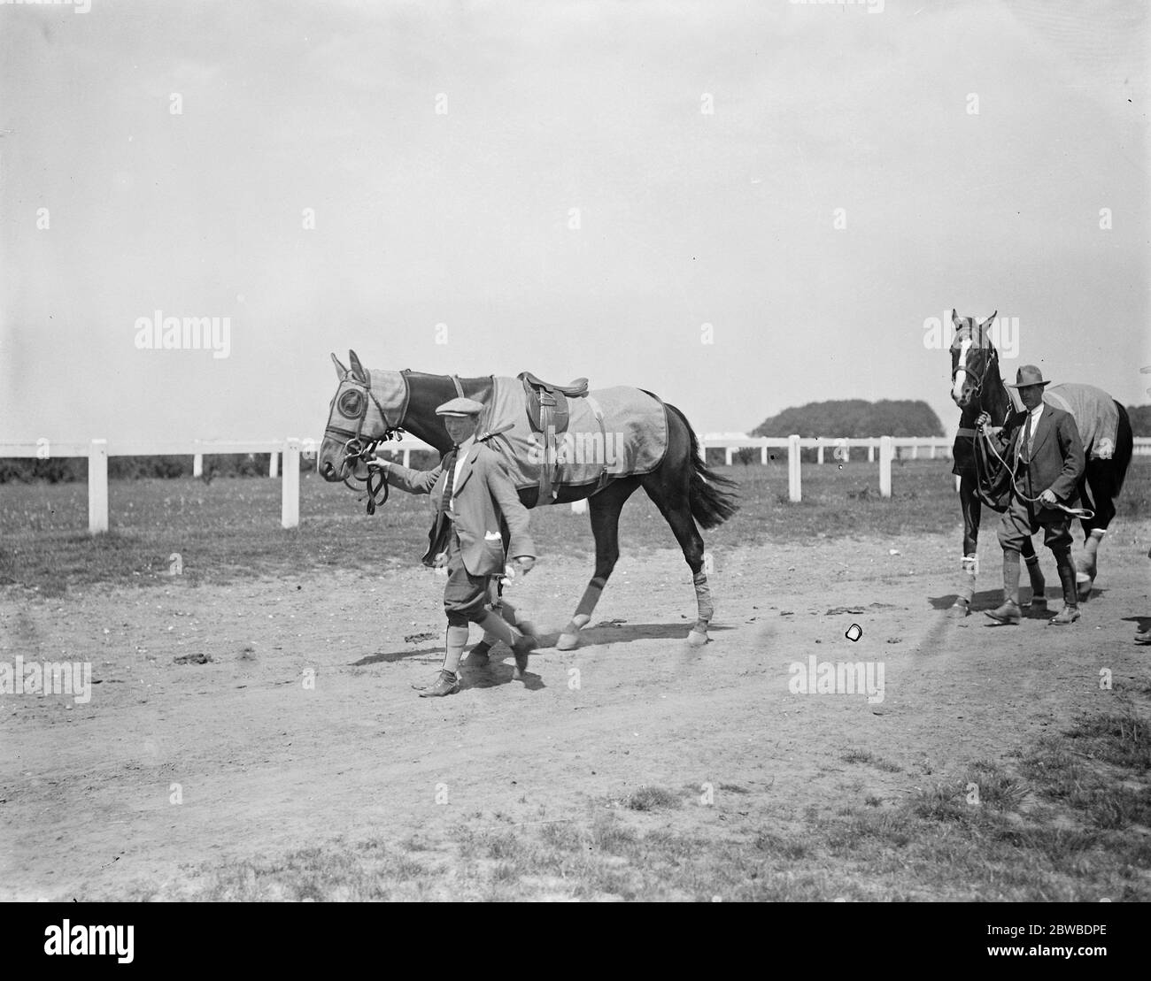 Derby Favourites arrive at Epsom . ' St Louis ' ( on right ) the present Derby favourite , arriving st Epsom on Monday afternoon with ' Re Echo ' its stable companion and at present third favourite in the Derby . 29 March 1922 Stock Photo