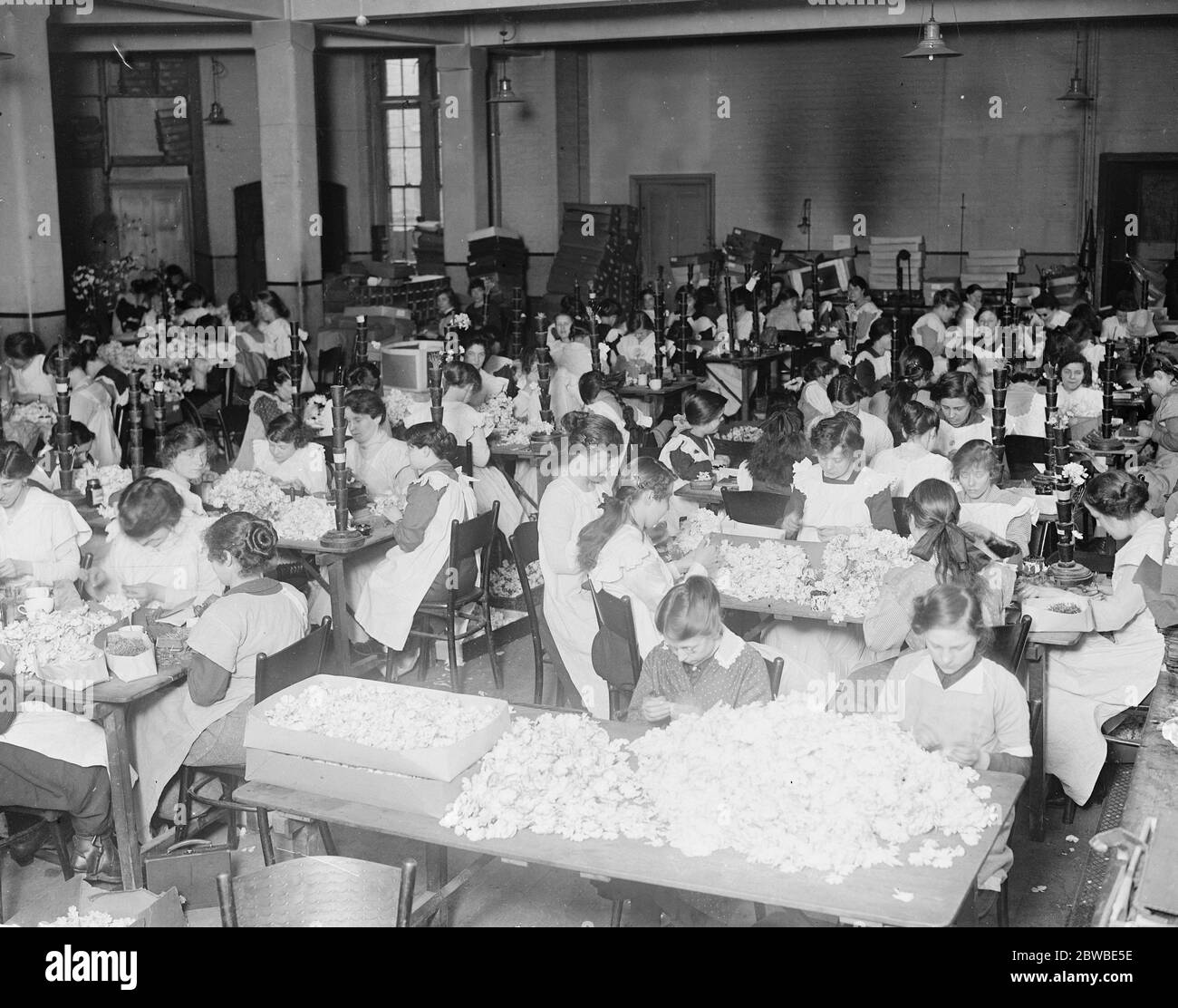Making roses for Alexandra day at the crippleage May 1919 Stock Photo