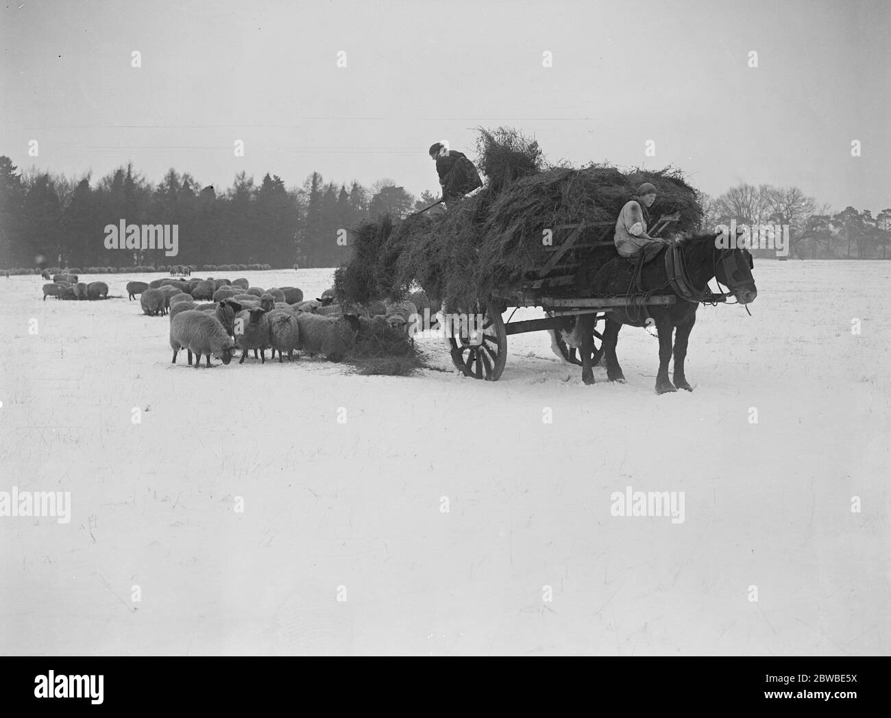 Girl Land workers in the snow at Thetford , Norfolk 19 January 1918