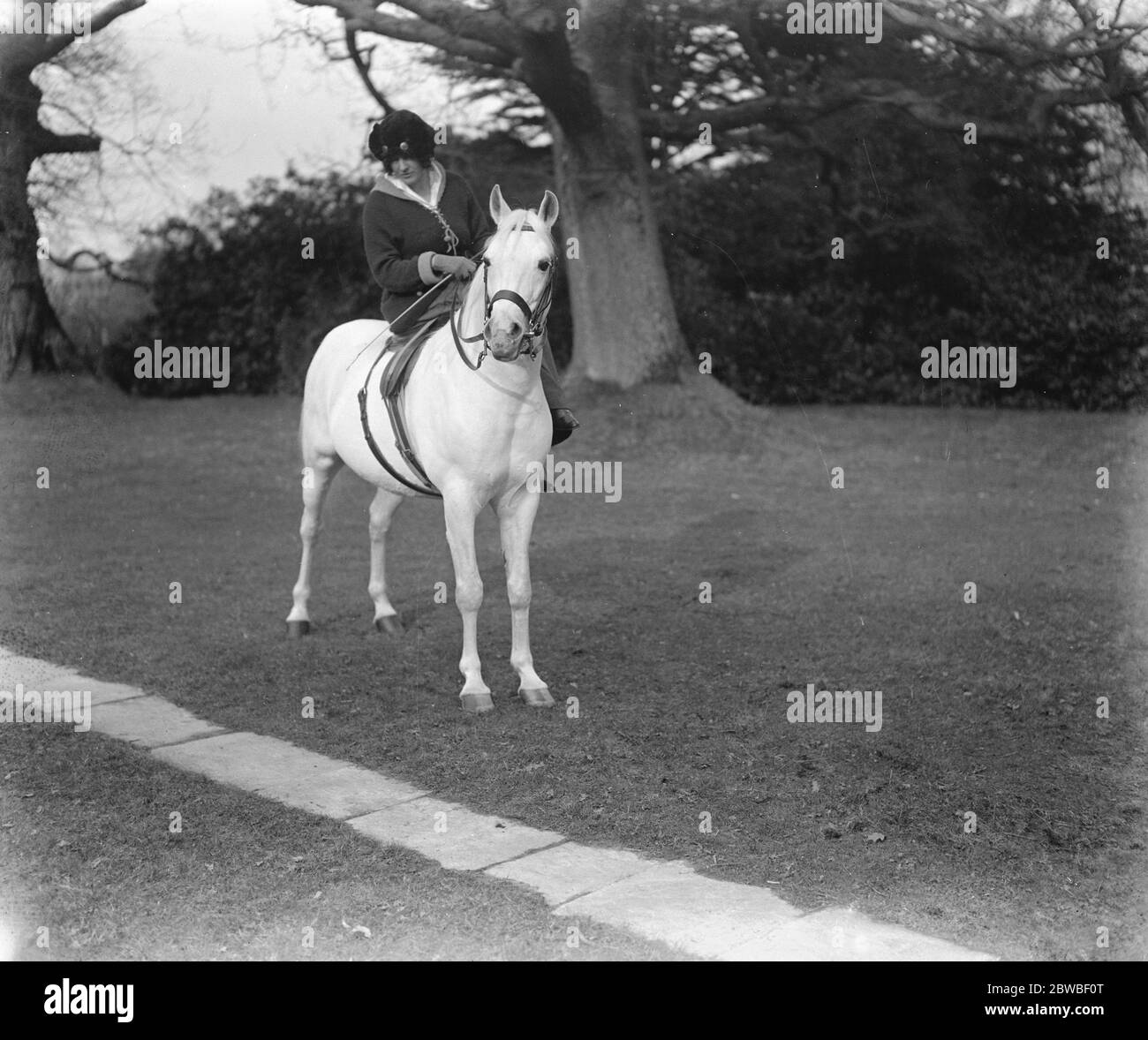 black breeding white wife Horse breeding farm Black and White Stock Photos & Images - Alamy